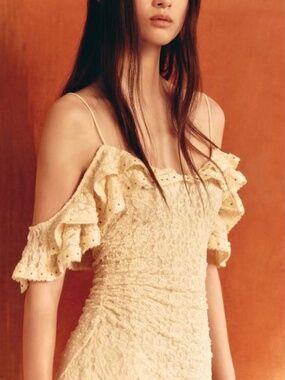 Zara | Dresses | Voluminous Asymmetric Dress